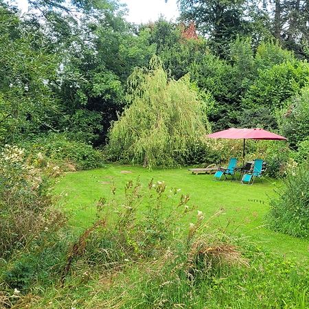 Kingsley Cottage - Beautiful Riverside Setting Beaworthy Exterior photo