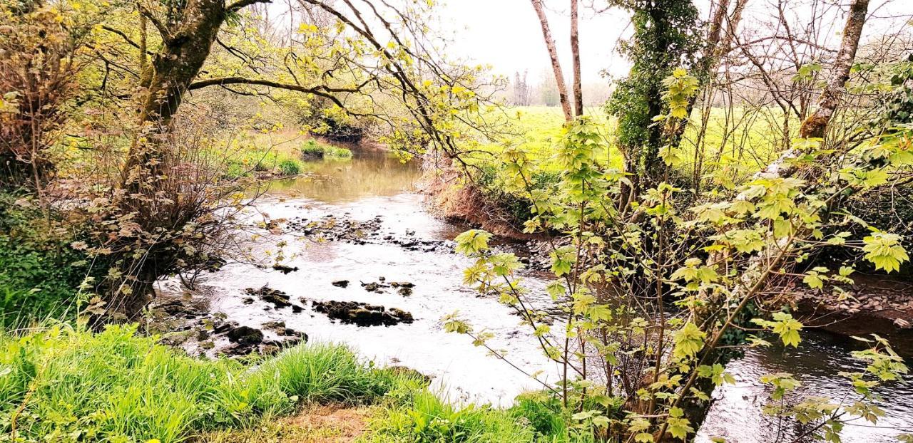 Kingsley Cottage - Beautiful Riverside Setting Beaworthy Exterior photo