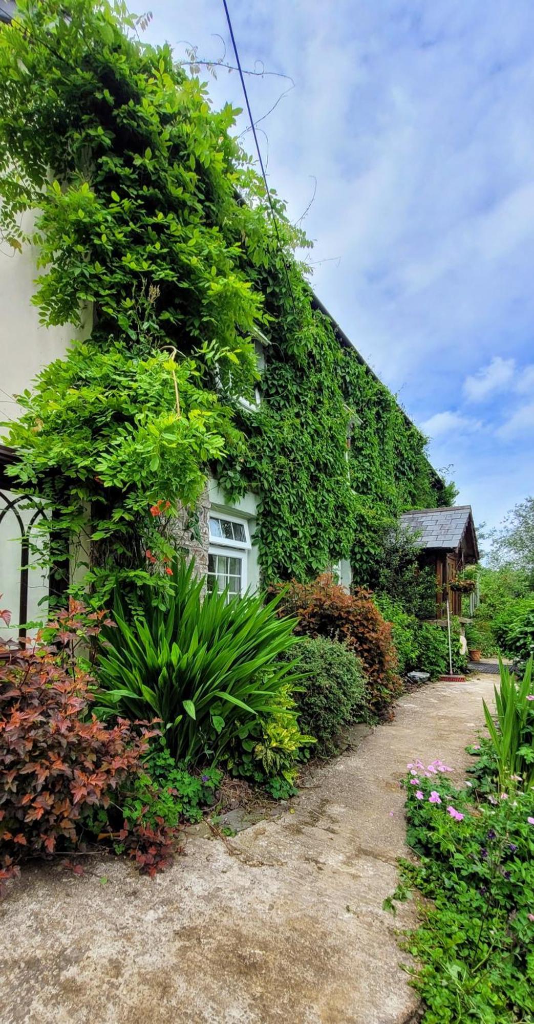 Kingsley Cottage - Beautiful Riverside Setting Beaworthy Exterior photo