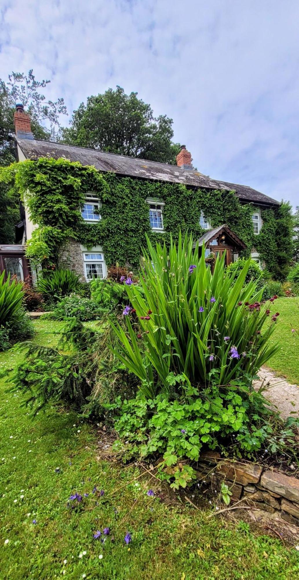 Kingsley Cottage - Beautiful Riverside Setting Beaworthy Exterior photo