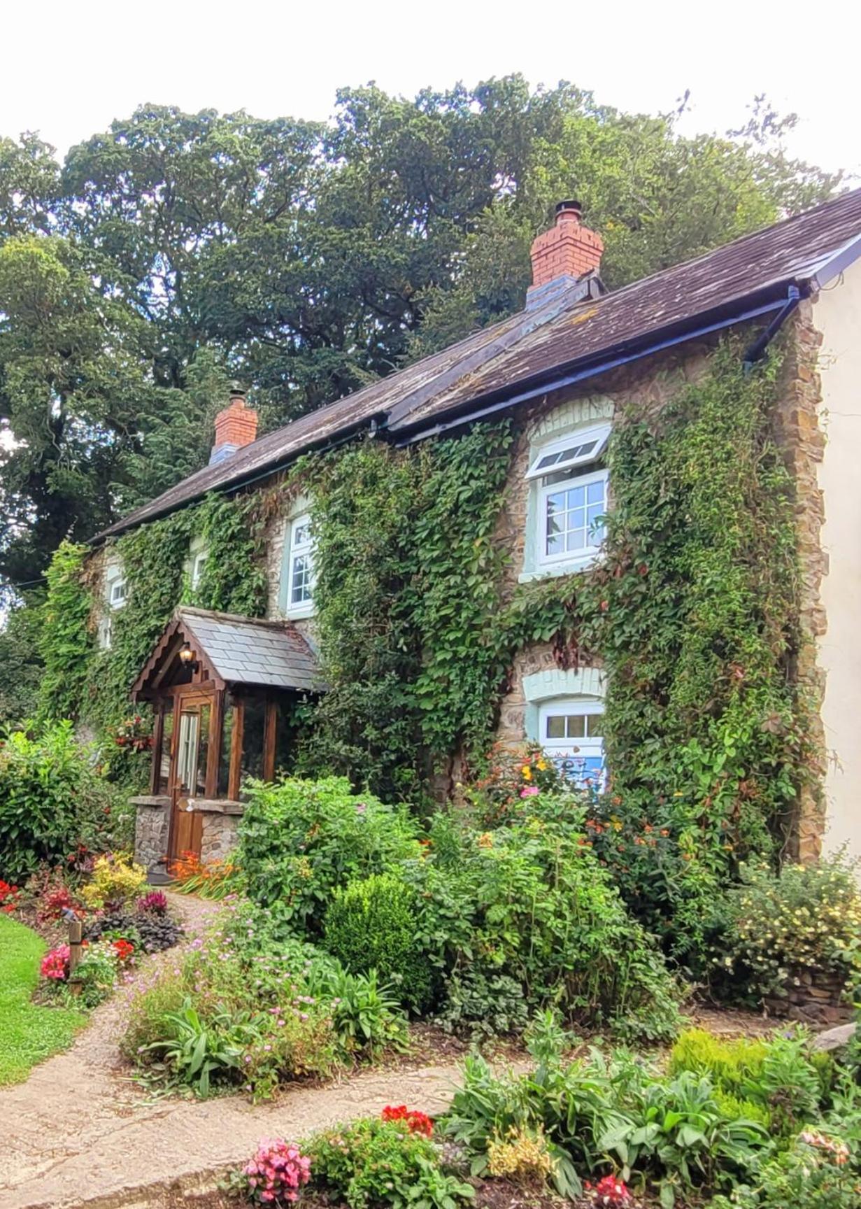 Kingsley Cottage - Beautiful Riverside Setting Beaworthy Exterior photo
