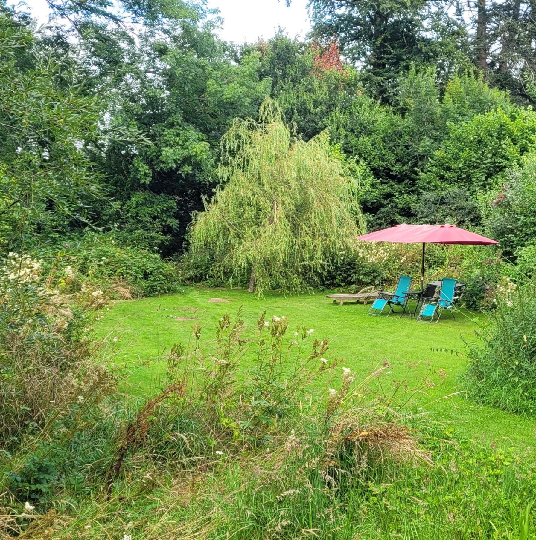 Kingsley Cottage - Beautiful Riverside Setting Beaworthy Exterior photo
